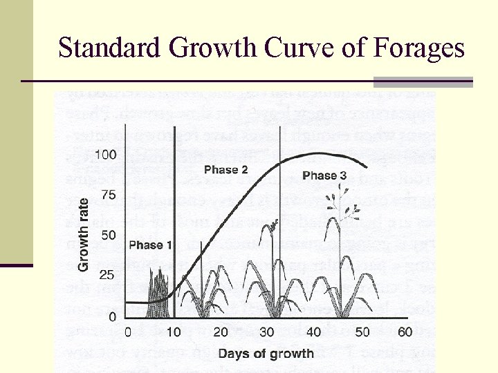 Standard Growth Curve of Forages 