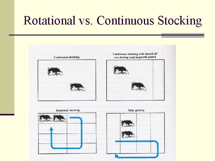 Rotational vs. Continuous Stocking 