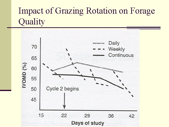 Impact of Grazing Rotation on Forage Quality 