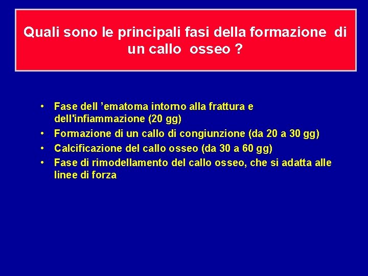 Quali sono le principali fasi della formazione di un callo osseo ? • Fase