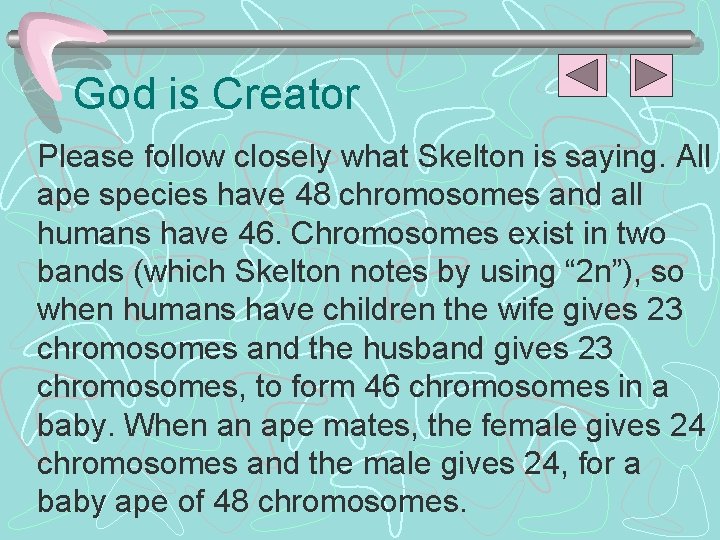 God is Creator Please follow closely what Skelton is saying. All ape species have