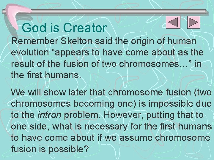 God is Creator Remember Skelton said the origin of human evolution “appears to have