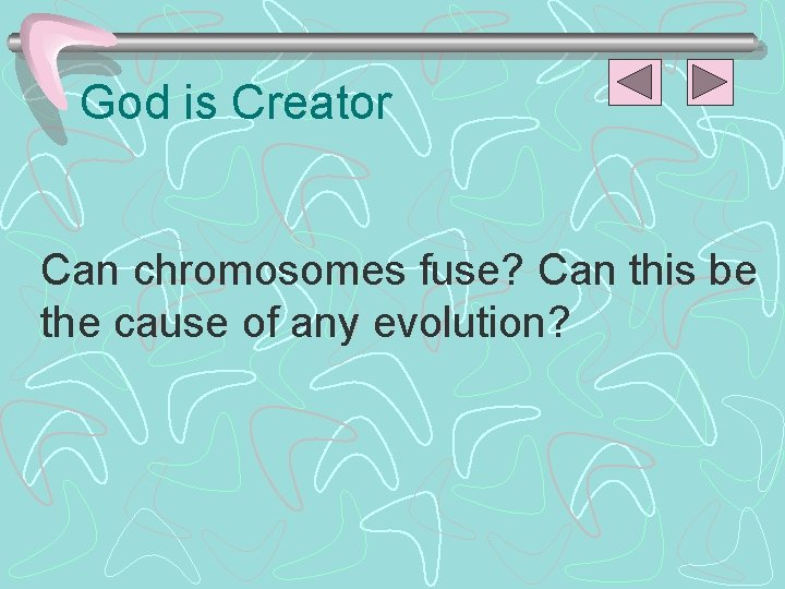 God is Creator Can chromosomes fuse? Can this be the cause of any evolution?