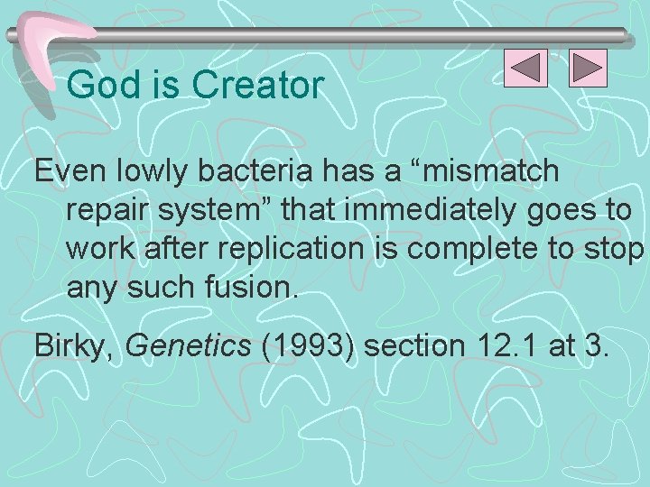 God is Creator Even lowly bacteria has a “mismatch repair system” that immediately goes