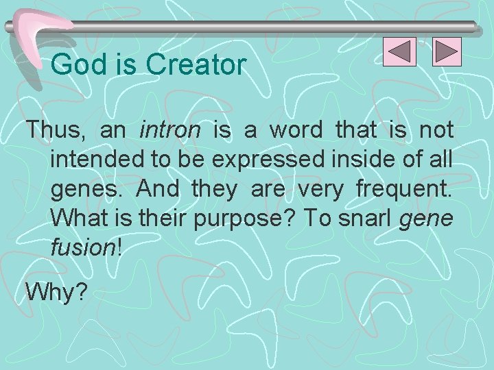 God is Creator Thus, an intron is a word that is not intended to