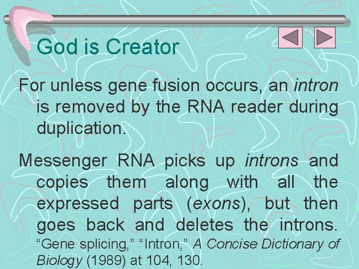God is Creator For unless gene fusion occurs, an intron is removed by the