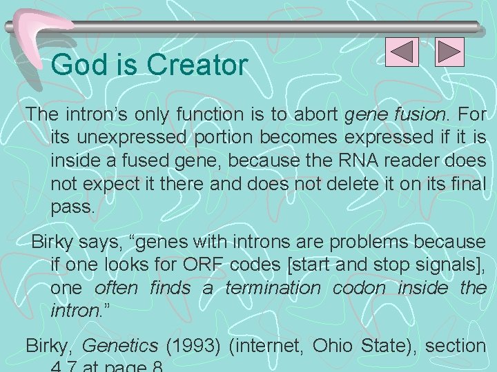 God is Creator The intron’s only function is to abort gene fusion. For its