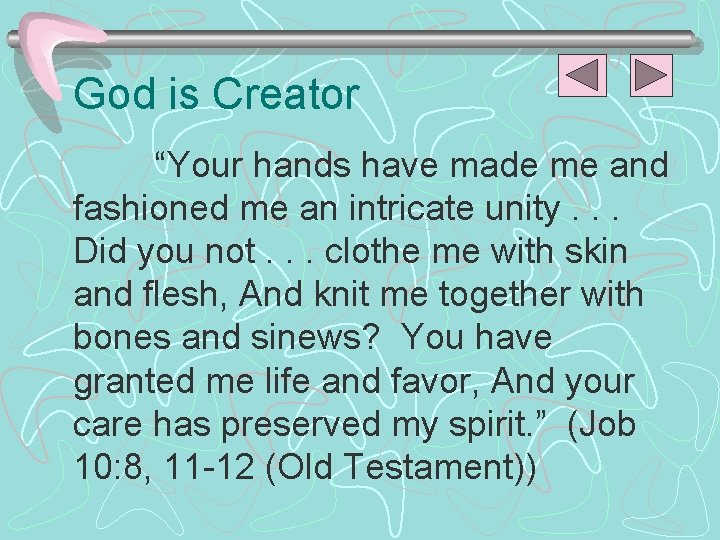 God is Creator “Your hands have made me and fashioned me an intricate unity.