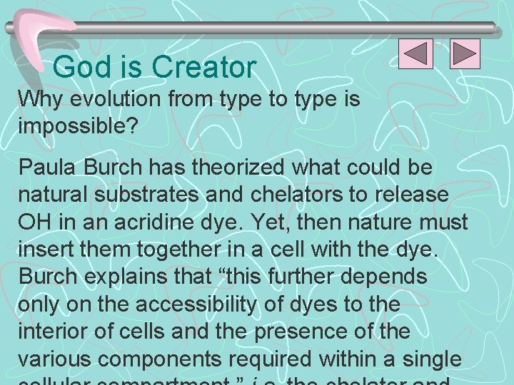 God is Creator Why evolution from type to type is impossible? Paula Burch has