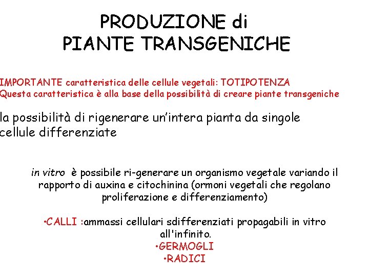 PRODUZIONE di PIANTE TRANSGENICHE IMPORTANTE caratteristica delle cellule vegetali: TOTIPOTENZA Questa caratteristica è alla