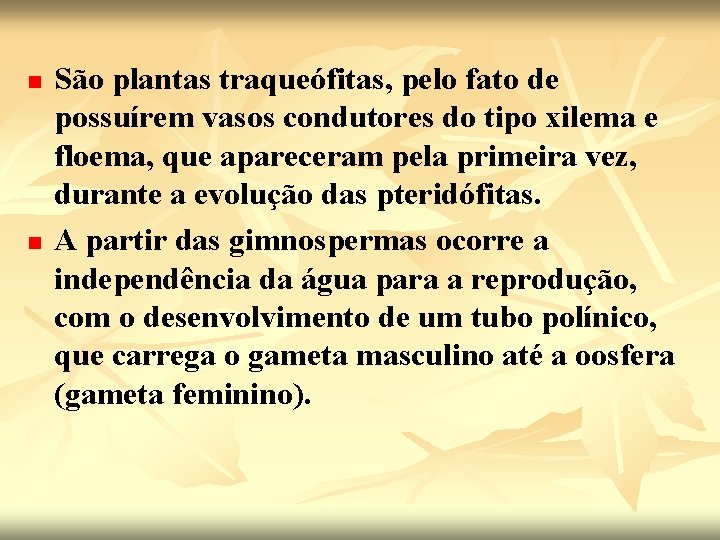 n n São plantas traqueófitas, pelo fato de possuírem vasos condutores do tipo xilema