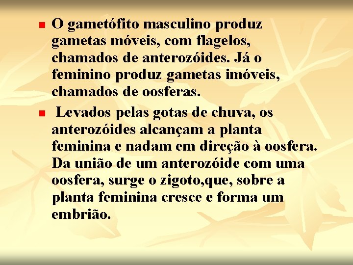 n n O gametófito masculino produz gametas móveis, com flagelos, chamados de anterozóides. Já