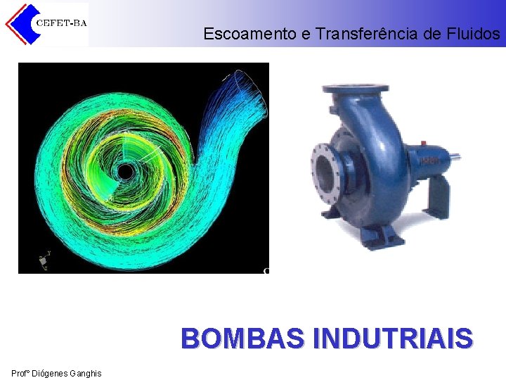 Escoamento e Transferência de Fluidos BOMBAS INDUTRIAIS Profº Diógenes Ganghis 