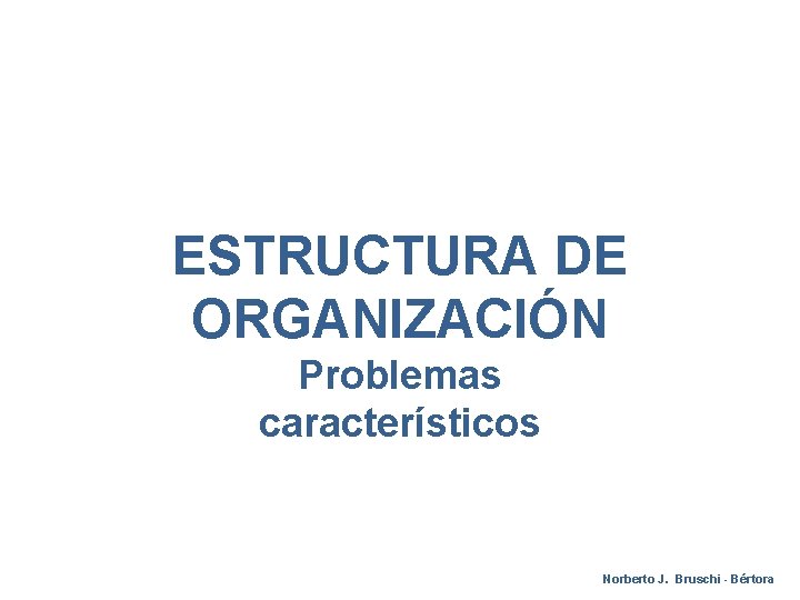 ESTRUCTURA DE ORGANIZACIÓN Problemas característicos Norberto J. Bruschi - Bértora 