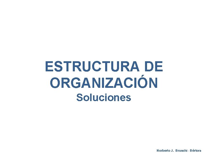 ESTRUCTURA DE ORGANIZACIÓN Soluciones Norberto J. Bruschi - Bértora 