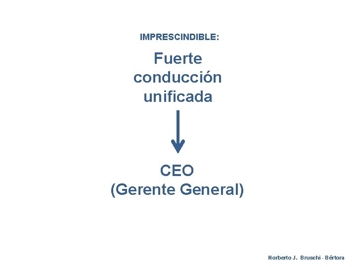 IMPRESCINDIBLE: Fuerte conducción unificada CEO (Gerente General) Norberto J. Bruschi - Bértora 