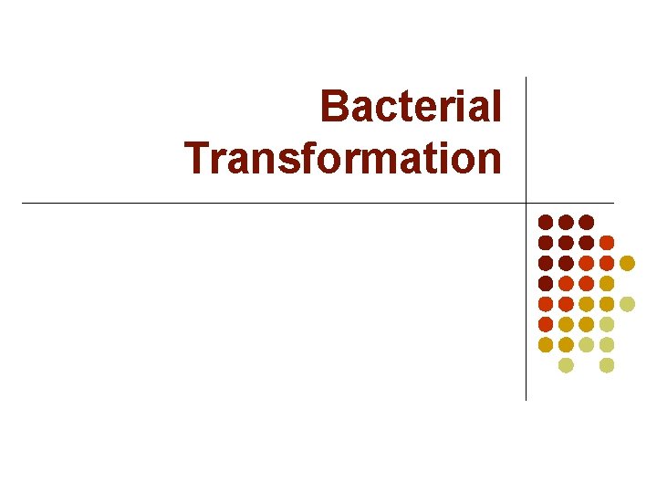 Bacterial Transformation 