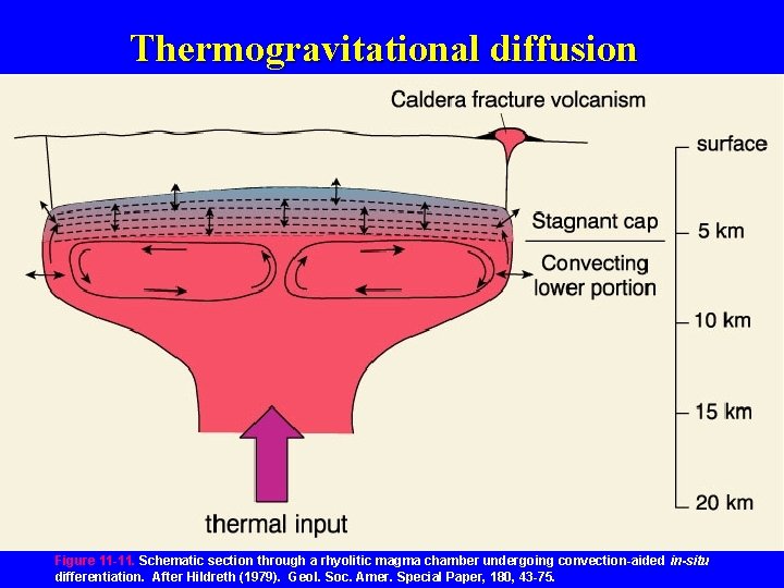 Thermogravitational diffusion Figure 11 -11. Schematic section through a rhyolitic magma chamber undergoing convection-aided