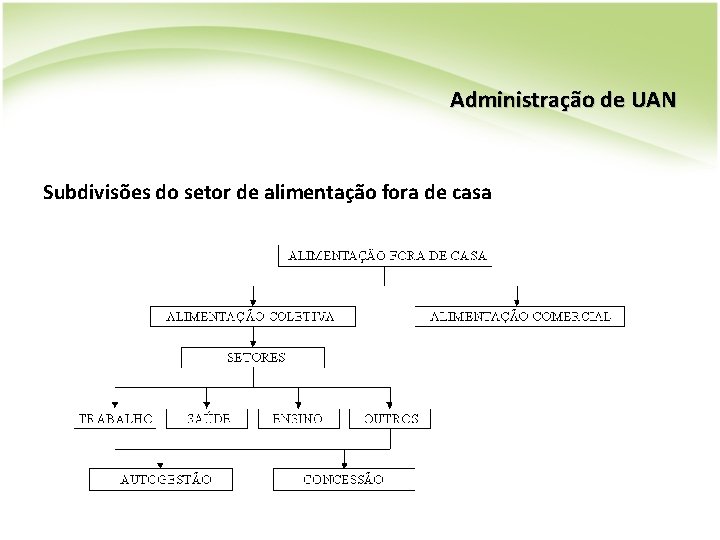 Administração de UAN Subdivisões do setor de alimentação fora de casa Administração de UAN Subdivisões do setor de alimentação fora de casa