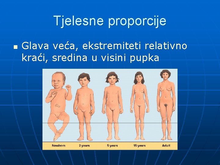 Tjelesne proporcije n Glava veća, ekstremiteti relativno kraći, sredina u visini pupka 