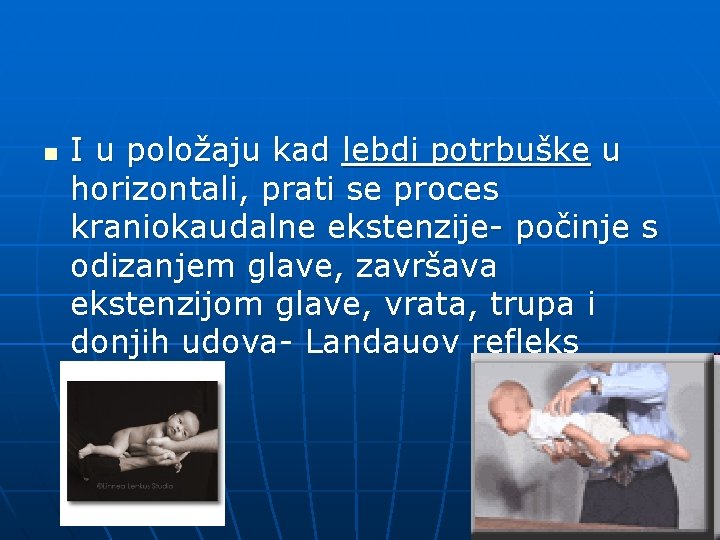 n I u položaju kad lebdi potrbuške u horizontali, prati se proces kraniokaudalne ekstenzije-