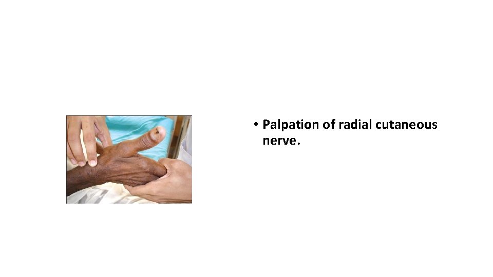  • Palpation of radial cutaneous nerve. 