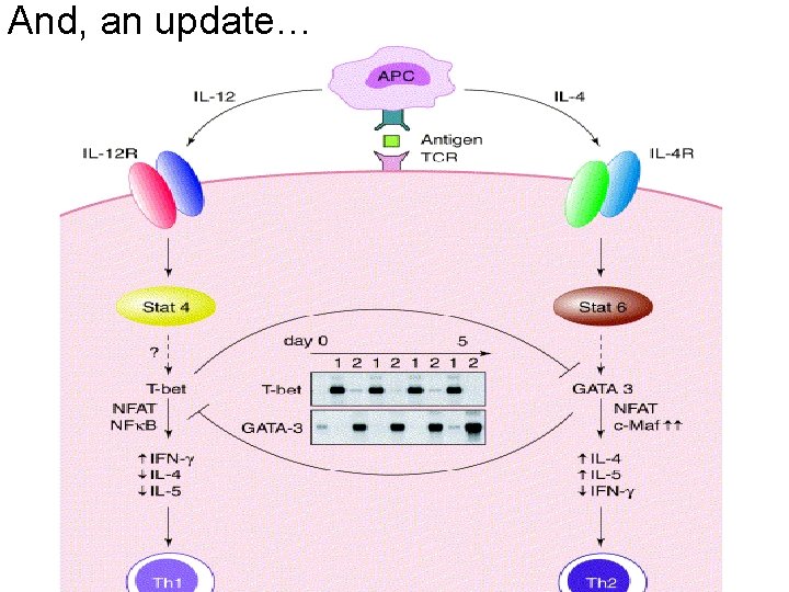 And, an update… And, an update…