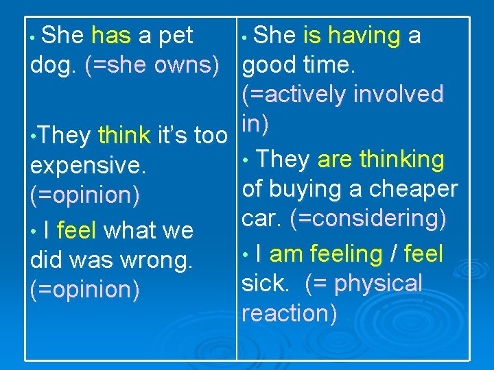  • She has a pet • She is having a dog. (=she owns)