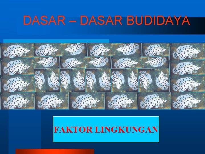 DASAR – DASAR BUDIDAYA FAKTOR LINGKUNGAN 