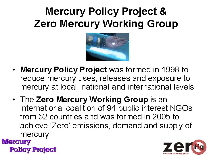 Mercury Policy Project & Zero Mercury Working Group • Mercury Policy Project was formed