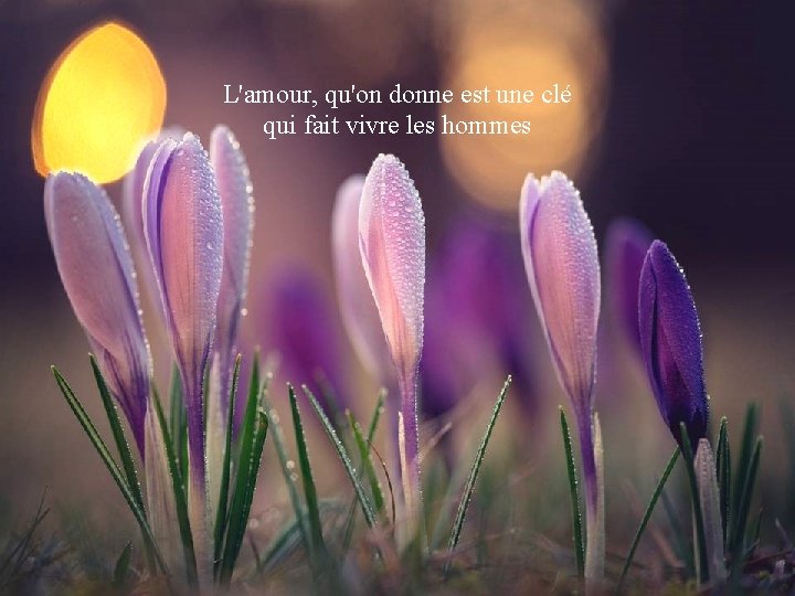 L'amour, qu'on donne est une clé La fait vie vivre n'est qu'un éclair qui