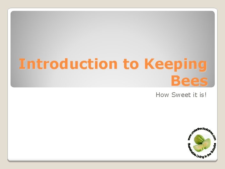 Introduction to Keeping Bees How Sweet it is! 