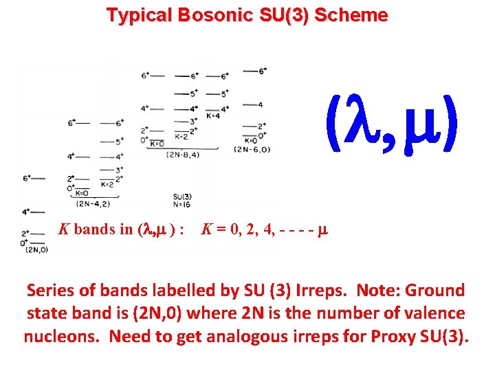 Typical Bosonic SU(3) Scheme (l, m) K bands in (l, m ) : K