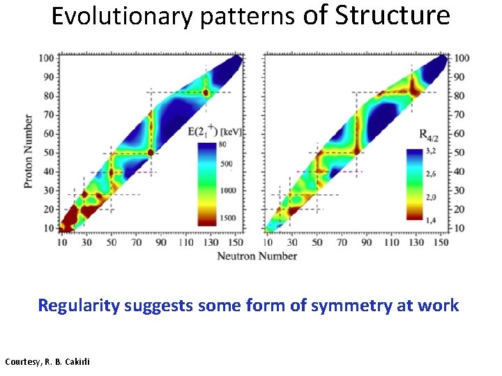 Evolutionary patterns of Structure Regularity suggests some form of symmetry at work Courtesy, R.