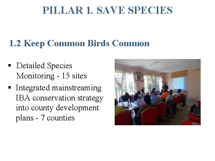 PILLAR 1. SAVE SPECIES 1. 2 Keep Common Birds Common § Detailed Species Monitoring