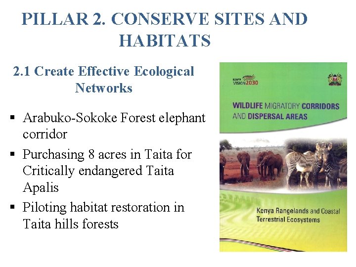 PILLAR 2. CONSERVE SITES AND HABITATS 2. 1 Create Effective Ecological Networks § Arabuko-Sokoke