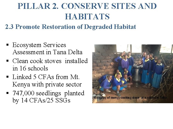PILLAR 2. CONSERVE SITES AND HABITATS 2. 3 Promote Restoration of Degraded Habitat §