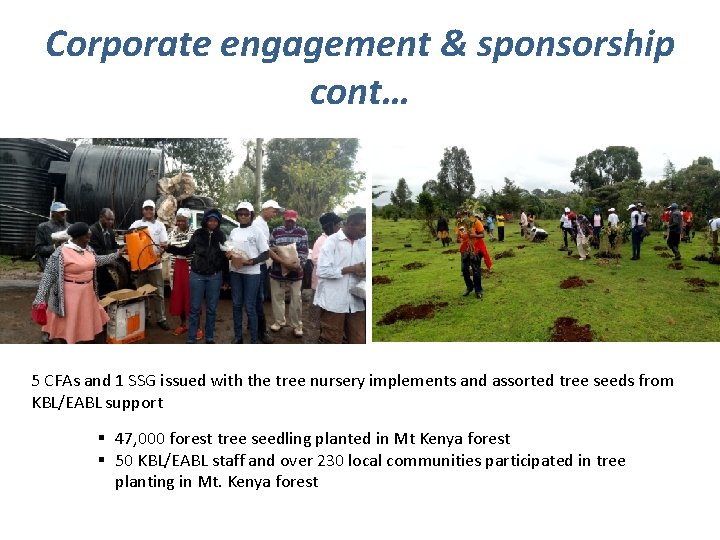 Corporate engagement & sponsorship cont… 5 CFAs and 1 SSG issued with the tree