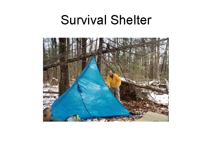 Survival Shelter 