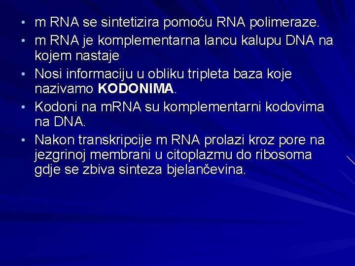  • m RNA se sintetizira pomoću RNA polimeraze. • m RNA je komplementarna