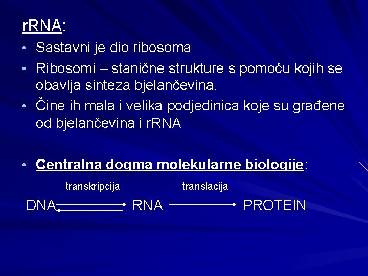 r. RNA: • Sastavni je dio ribosoma • Ribosomi – stanične strukture s pomoću