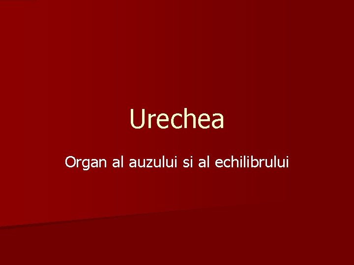 Urechea Organ al auzului si al echilibrului 