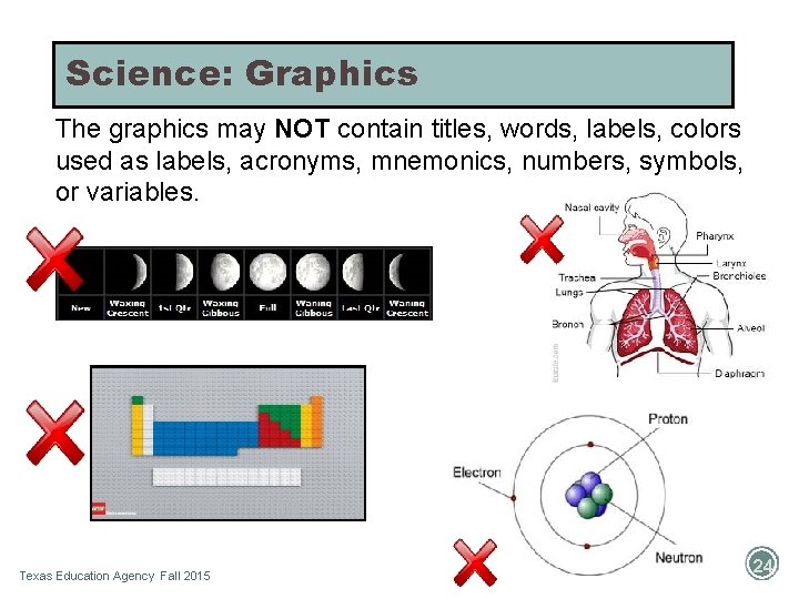Science: Graphics The graphics may NOT contain titles, words, labels, colors used as labels,