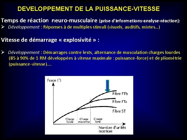 DEVELOPPEMENT DE LA PUISSANCE-VITESSE Temps de réaction neuro-musculaire (prise d’informations-analyse-réaction): Ø Développement : Réponses