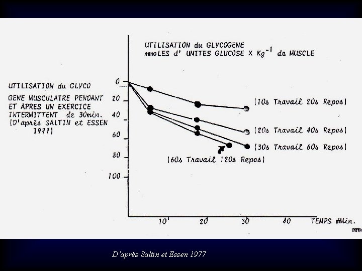 D’après Saltin et Essen 1977 