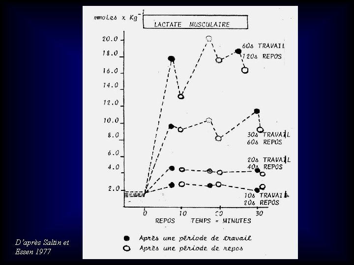 D’après Saltin et Essen 1977 