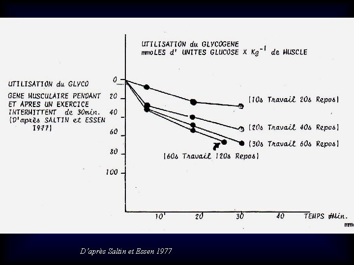 D’après Saltin et Essen 1977 