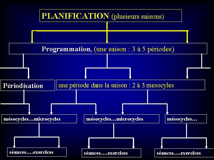 PLANIFICATION (plusieurs saisons) Programmation, (une saison : 3 à 5 périodes) Périodisation une période