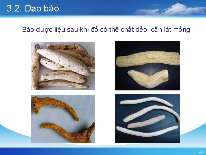 3. 2. Dao bào Bào dược liệu sau khi đồ có thể chất dẻo,