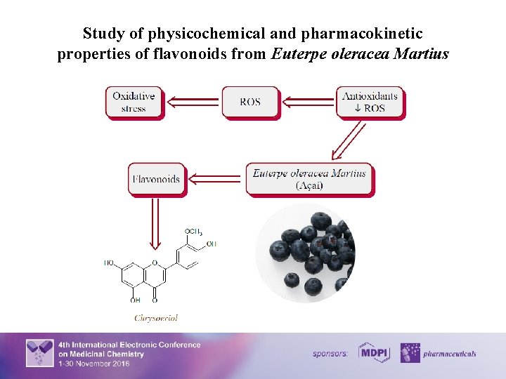 Study of physicochemical and pharmacokinetic properties of flavonoids from Euterpe oleracea Martius 2 